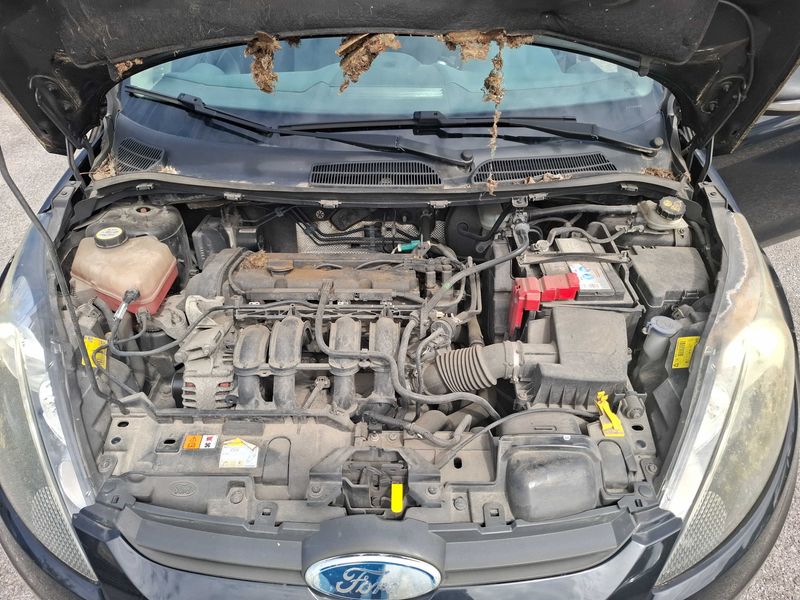 Ford Fiesta 1.25 Ambiente — zdjęcie 8