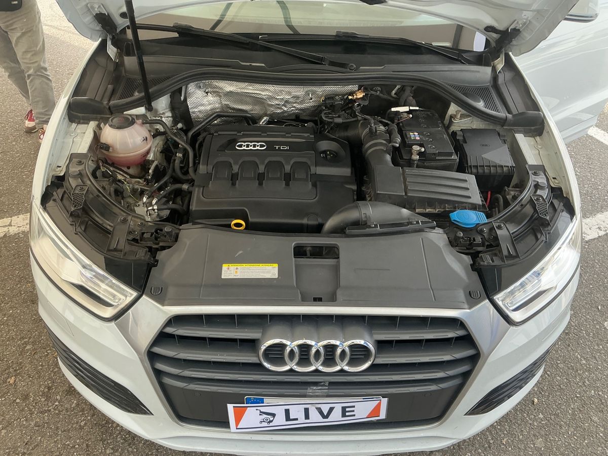 Audi Q3 2018 — photo 22
