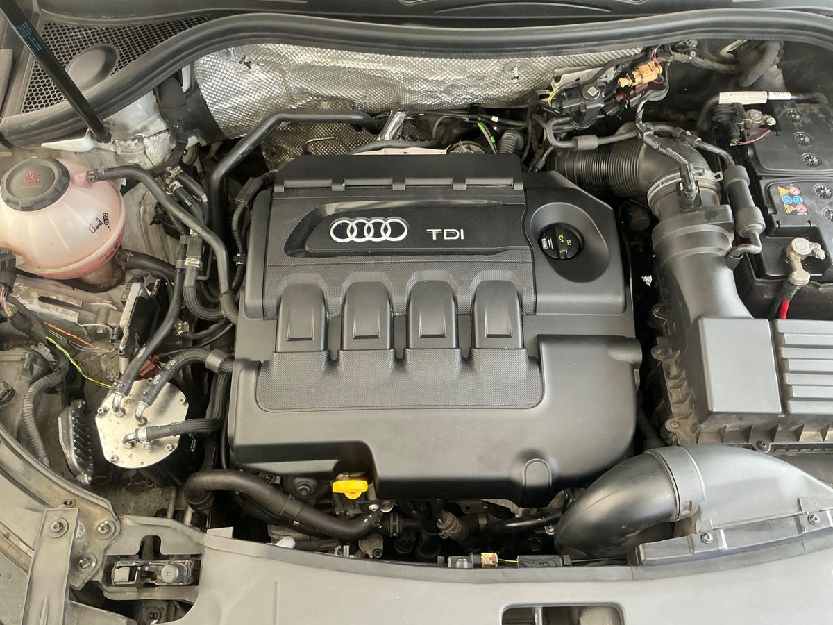 Audi Q3 2018 — photo 26