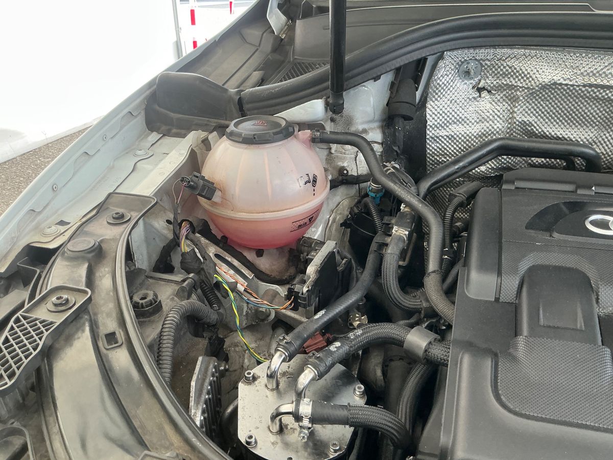 Audi Q3 2018 — photo 24