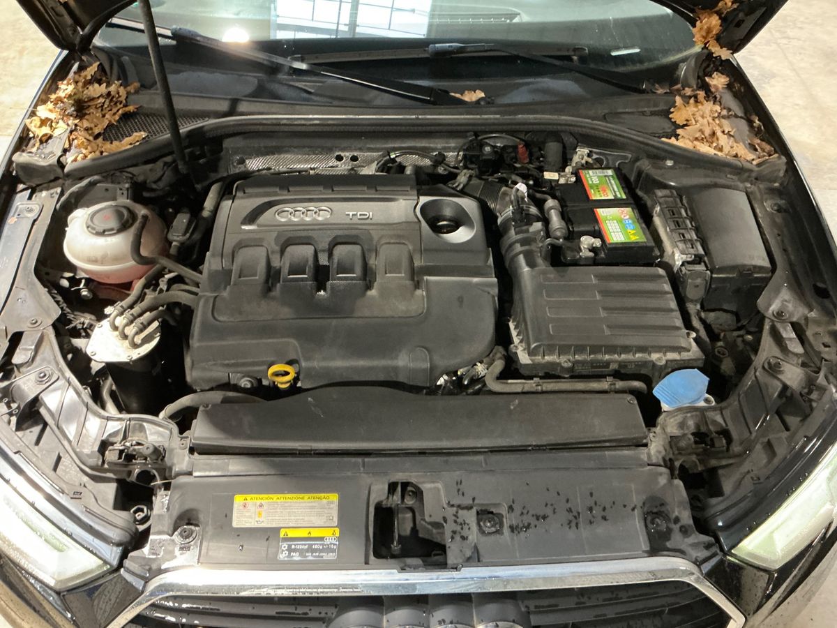 Audi A3 2017 — photo 27
