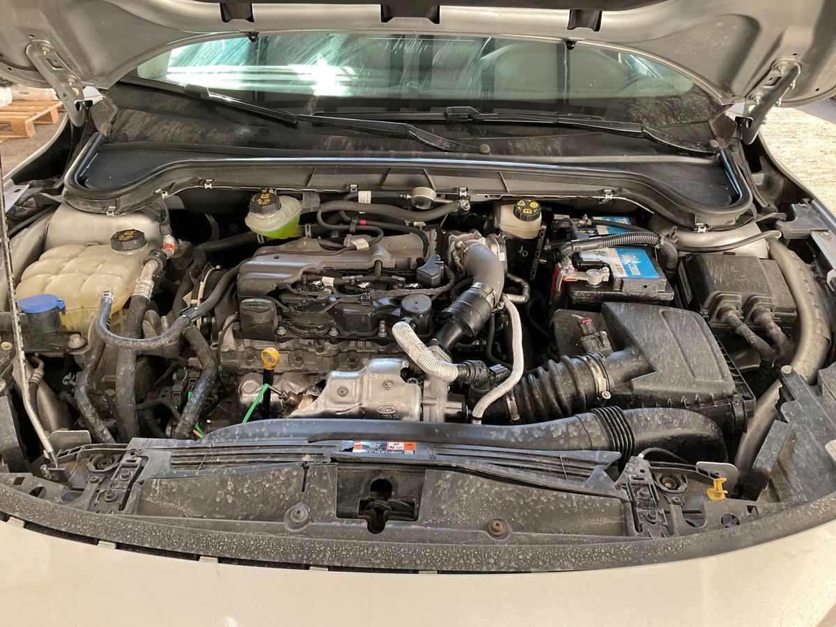 Ford Focus 2025 — photo 30