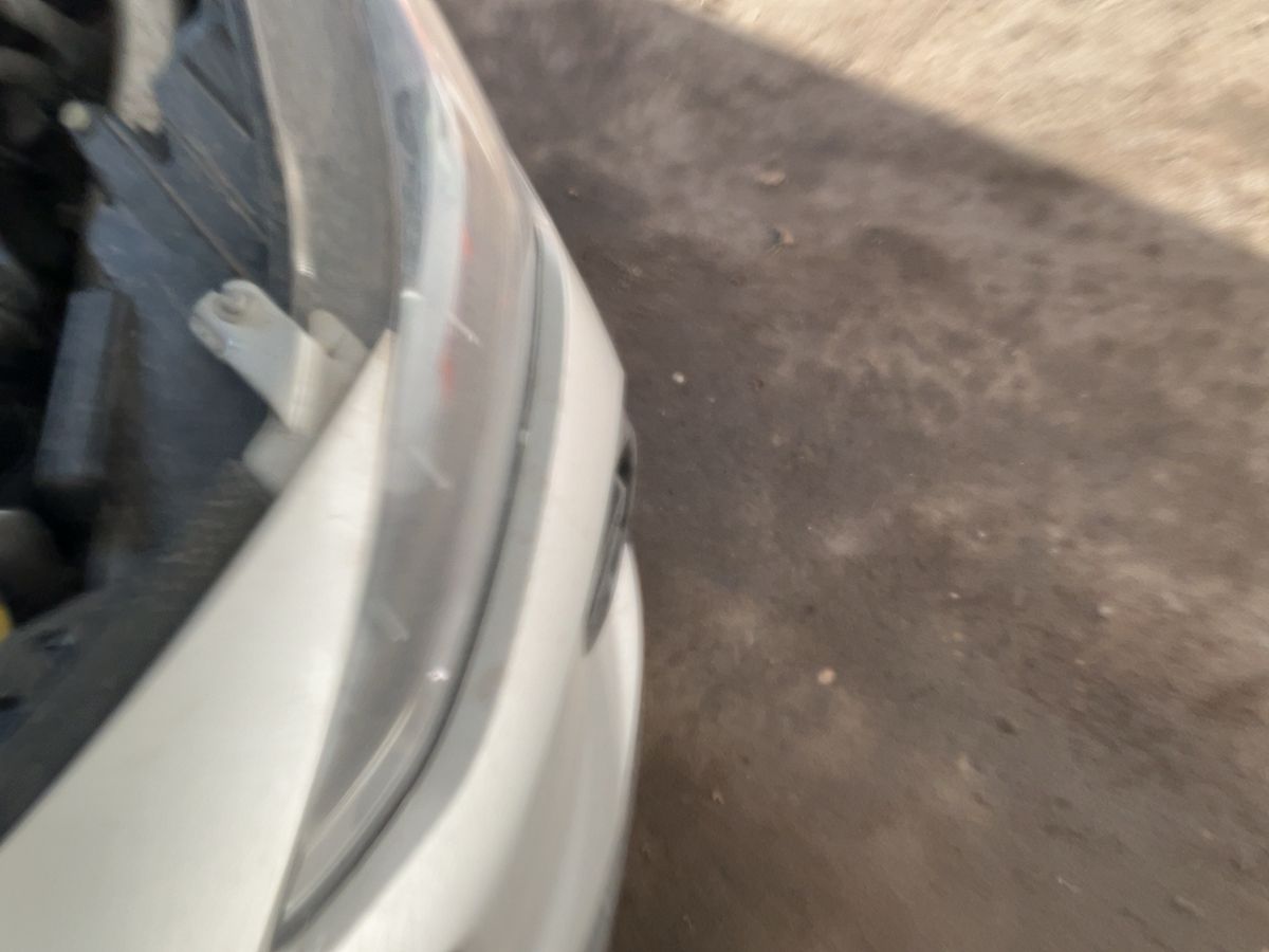Ford Focus 2025 — photo 22
