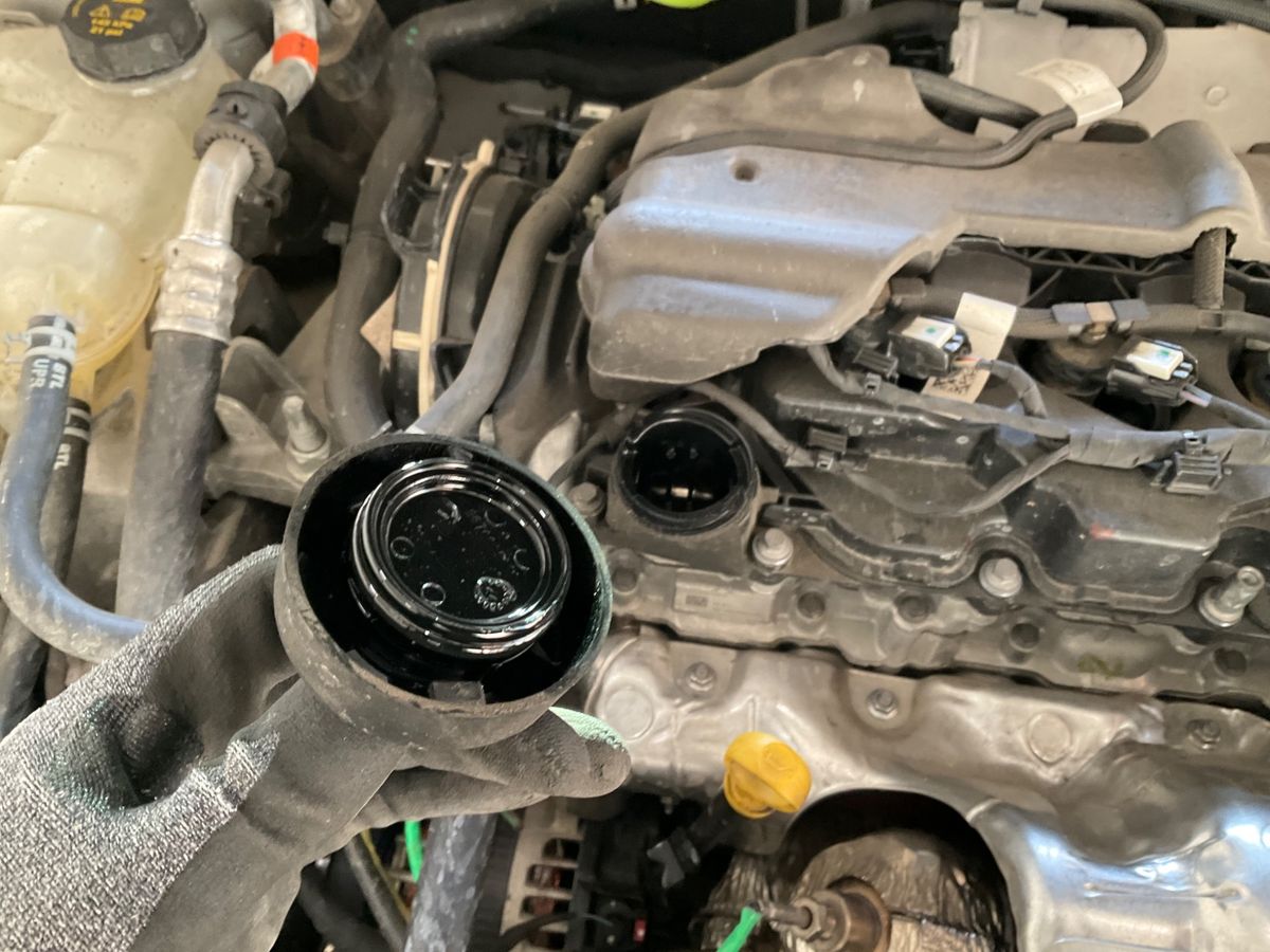 Ford Focus 2025 — photo 23