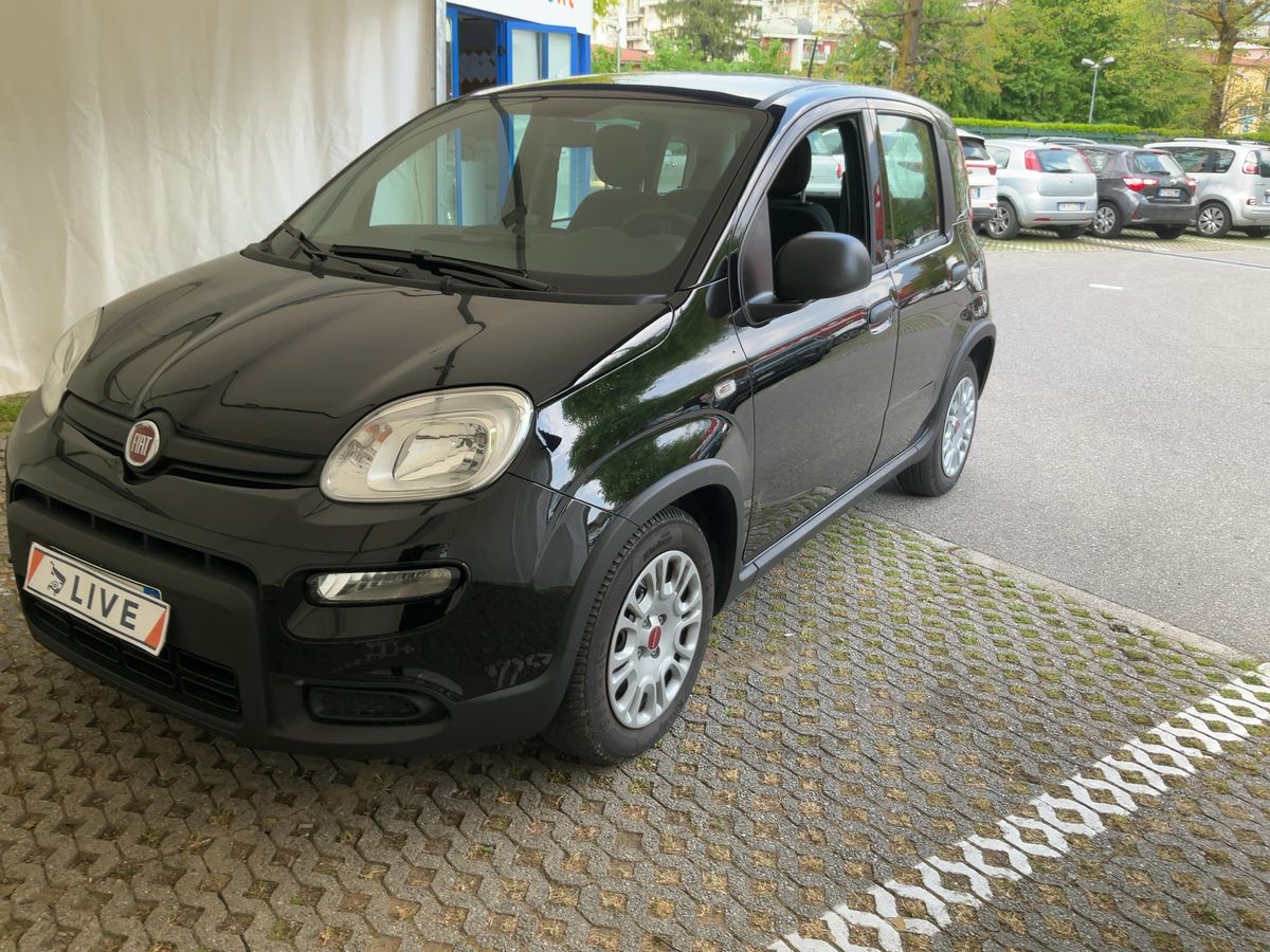 Fiat Panda d'occasion