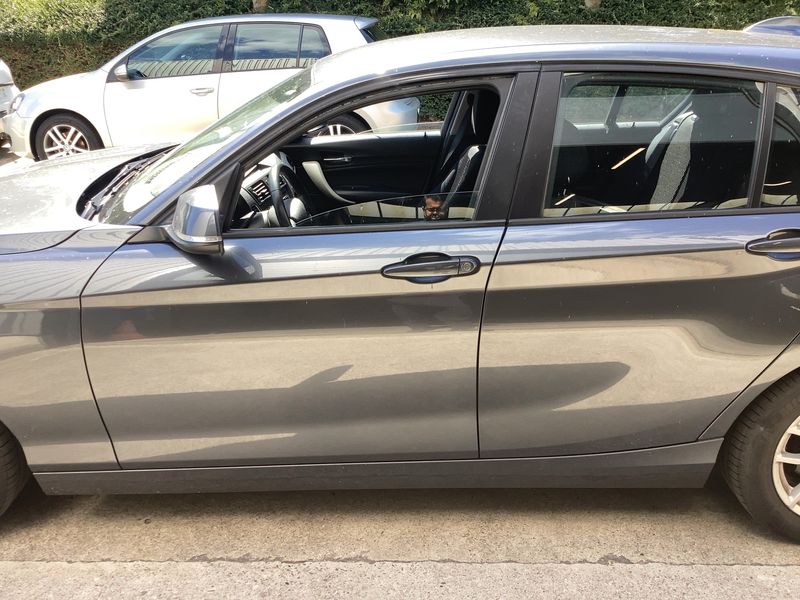 BMW 1er 116d EfficientDynamics Edition 2015 – снимка 4