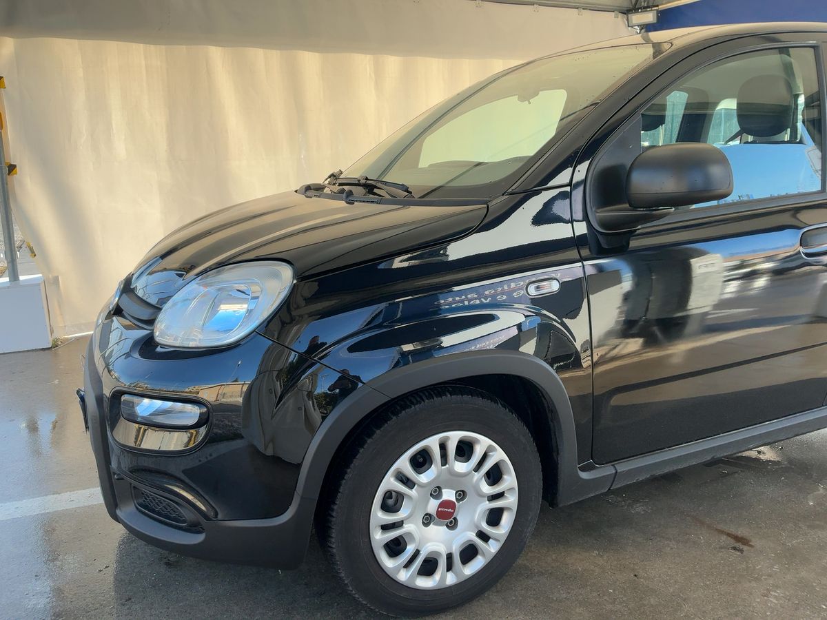 Fiat Panda d'occasion
