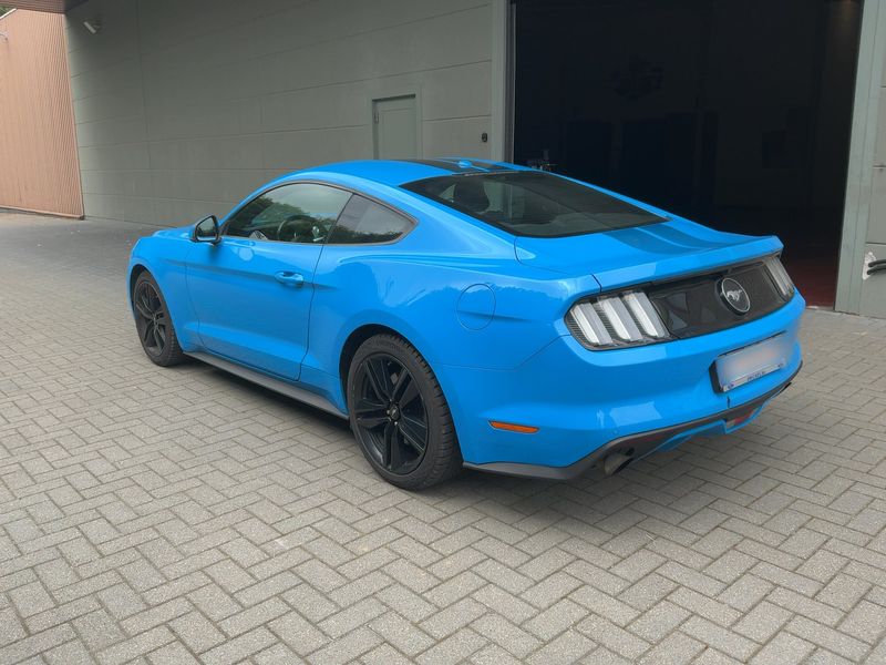 Ford Mustang 2.3 EcoBoost Basis — zdjęcie 3