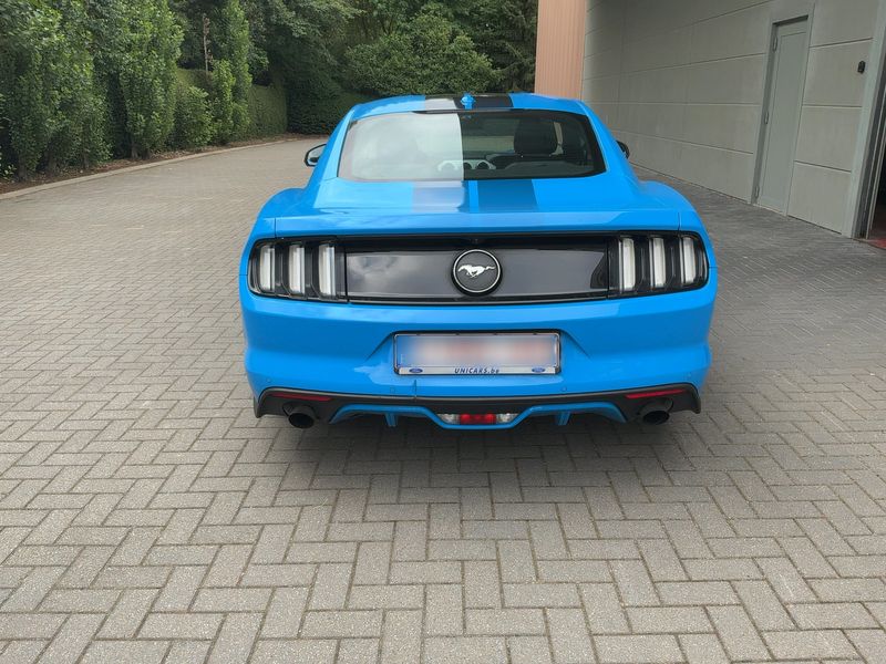 Ford Mustang 2.3 EcoBoost Basis — zdjęcie 5