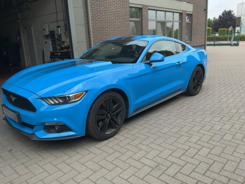 Ford Mustang 2.3 EcoBoost Basis — zdjęcie 2