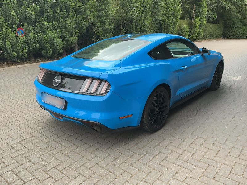 Ford Mustang 2.3 EcoBoost Basis — zdjęcie 6