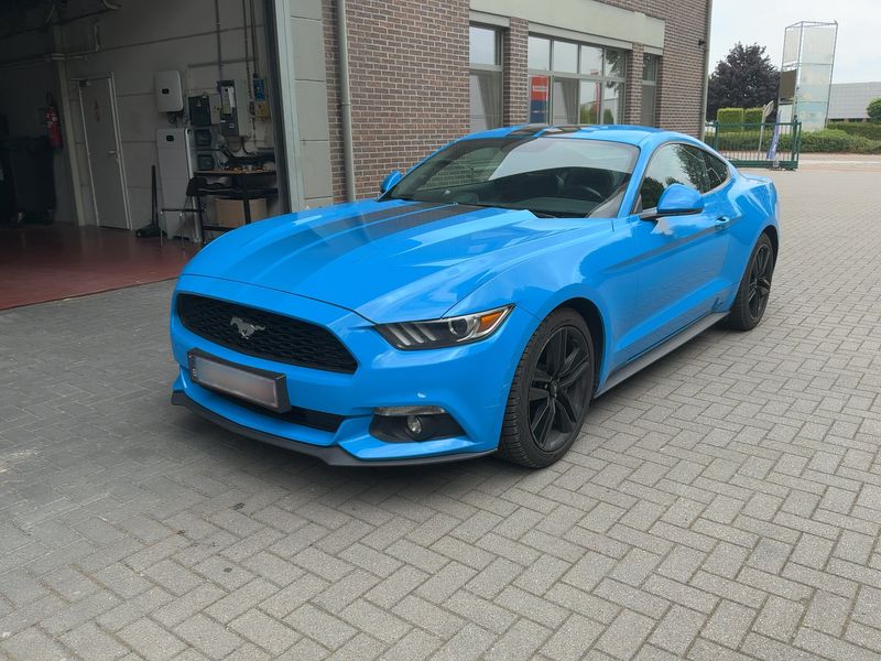 Ford Mustang 2.3 EcoBoost Basis
