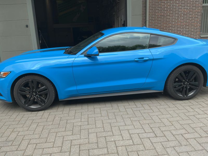 Ford Mustang 2.3 EcoBoost Basis — zdjęcie 4