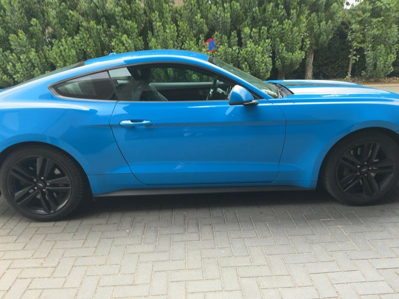 Ford Mustang 2.3 EcoBoost Basis — zdjęcie 7