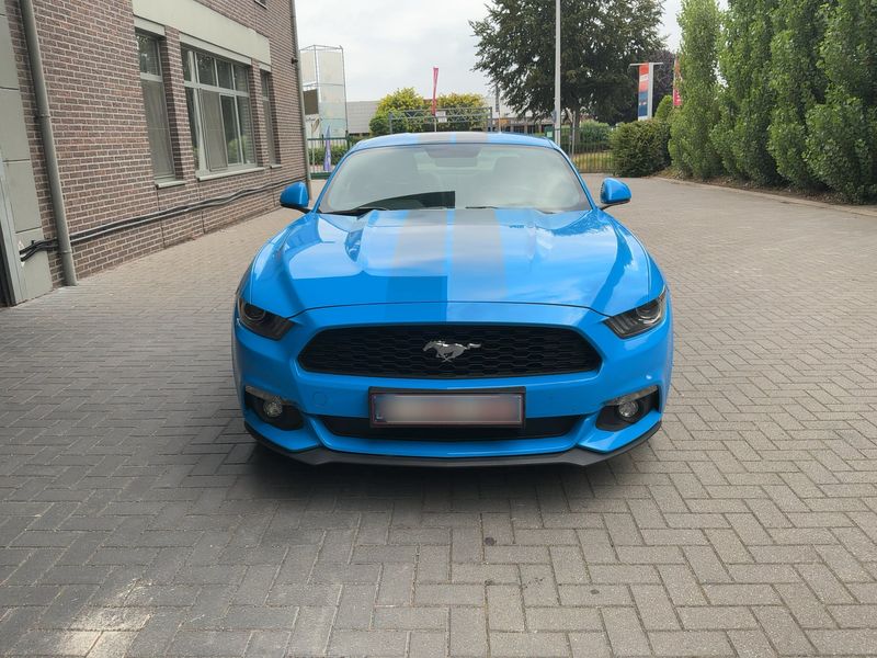 Ford Mustang 2.3 EcoBoost Basis — zdjęcie 9