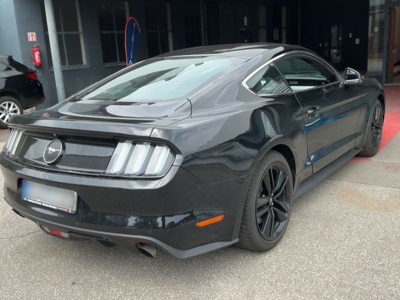 Ford Mustang 2.3 EcoBoost Basis — zdjęcie 6