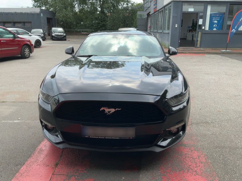 Ford Mustang 2.3 EcoBoost Basis — zdjęcie 9