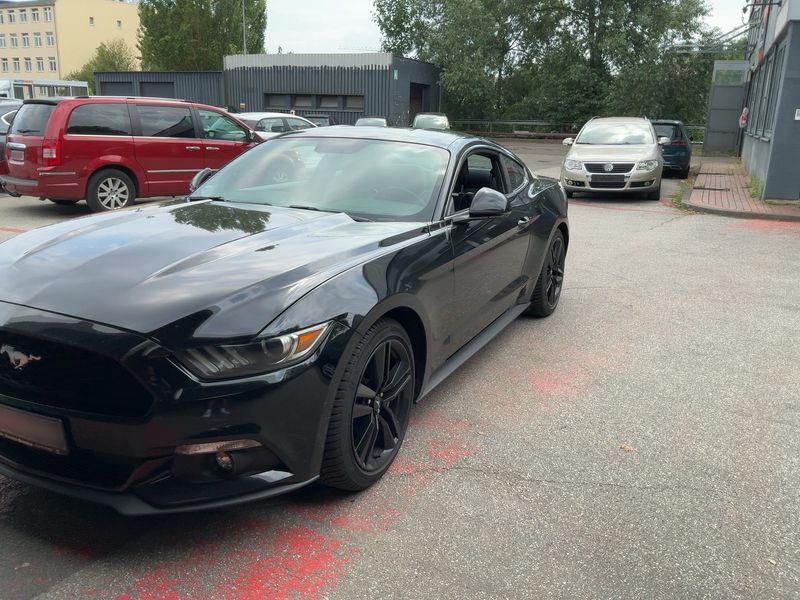 Ford Mustang 2.3 EcoBoost Basis — zdjęcie 2