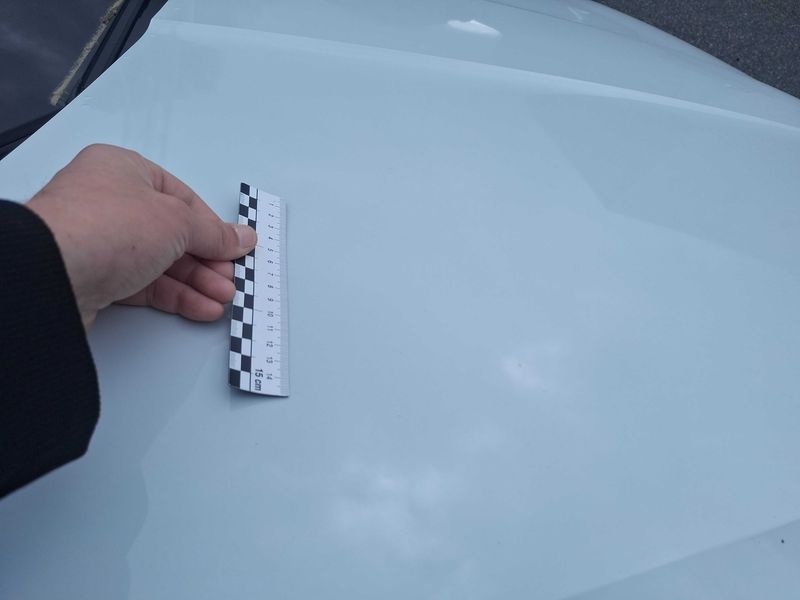 Skoda Octavia 1.6 TDI Business Plus 2014 – снимка 44