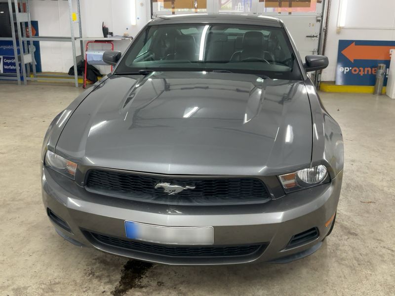 Ford Mustang 2.3 EcoBoost Basis — zdjęcie 9