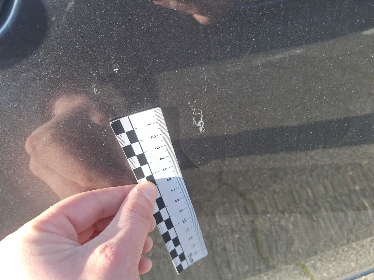 Citroen C4 2018 — photo 29