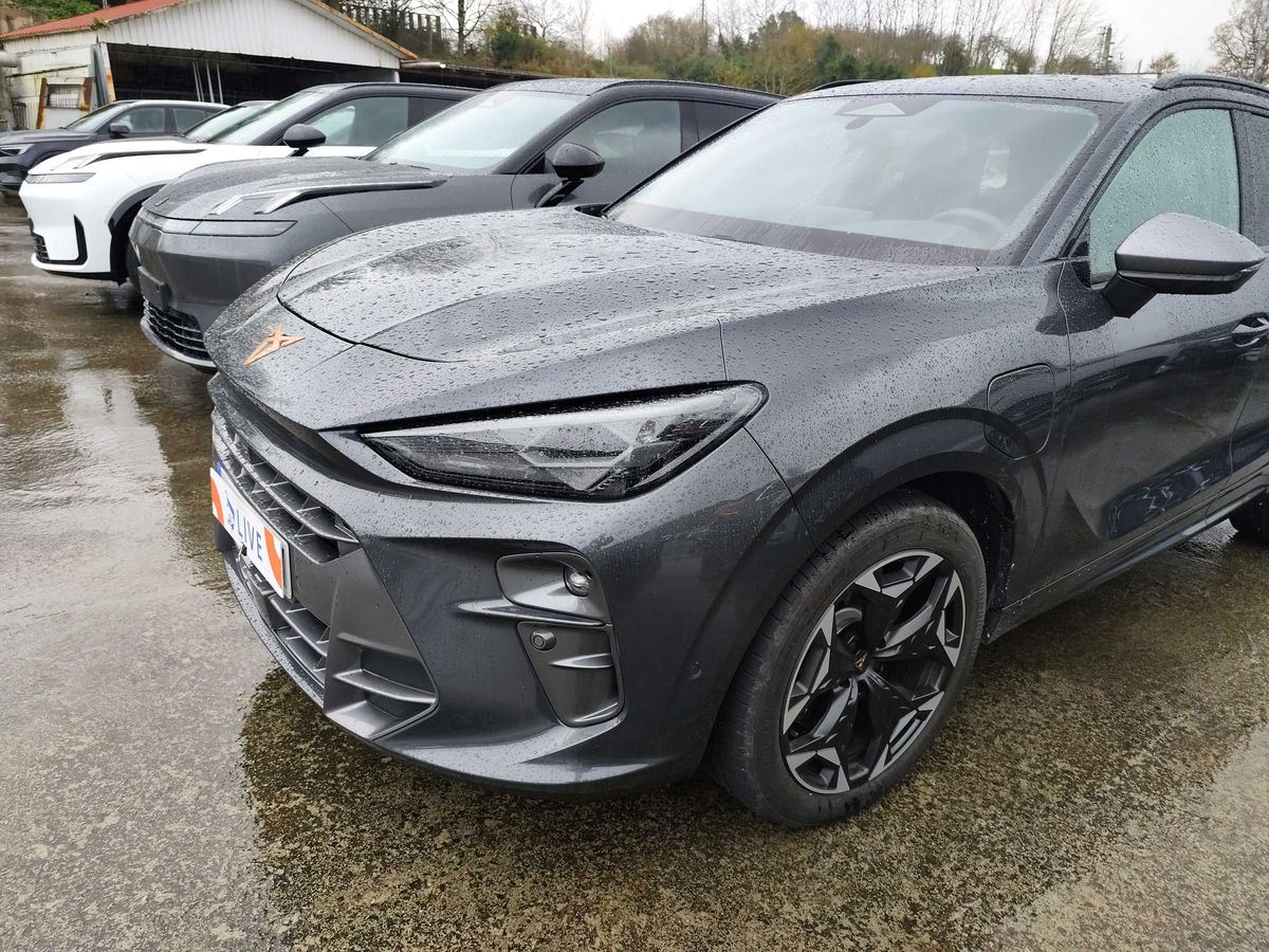 Cupra Terramar d'occasion