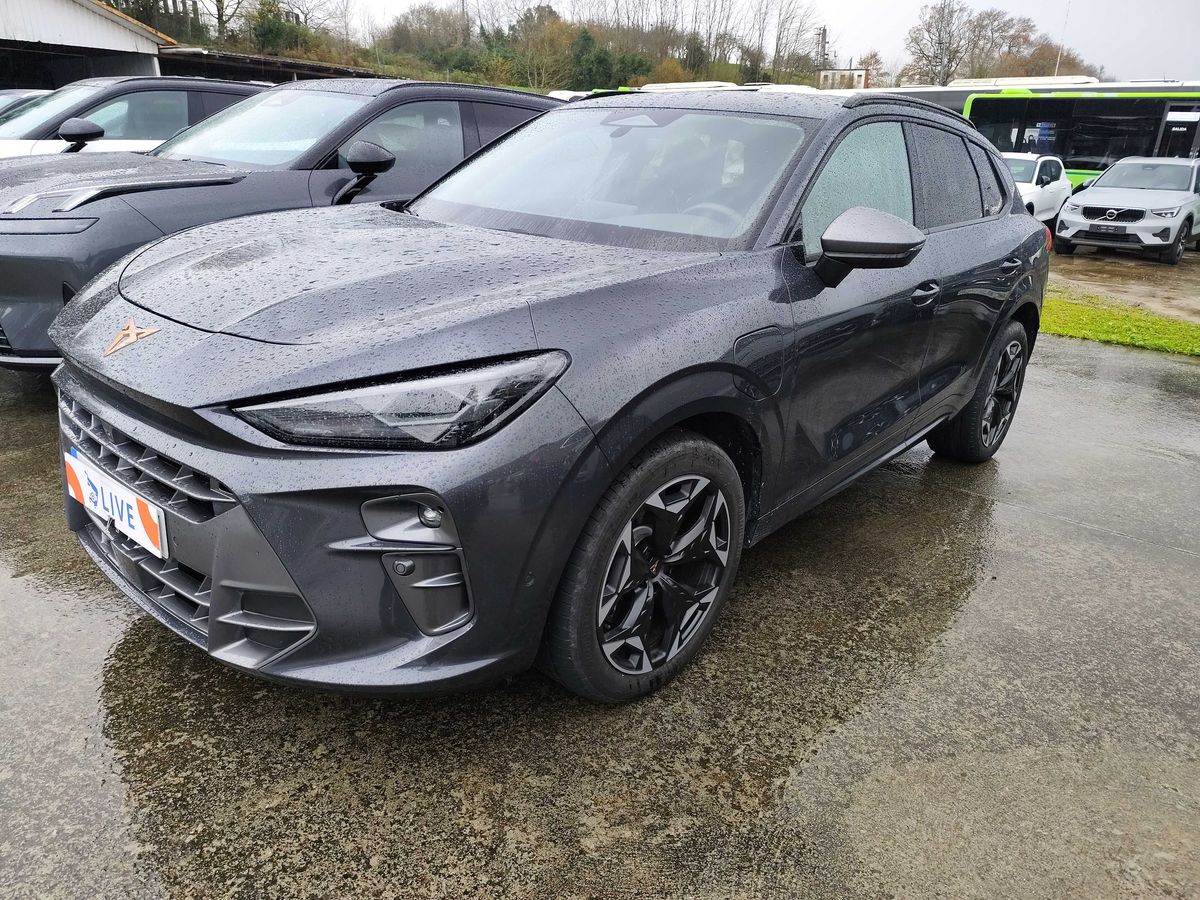 Cupra Terramar d'occasion