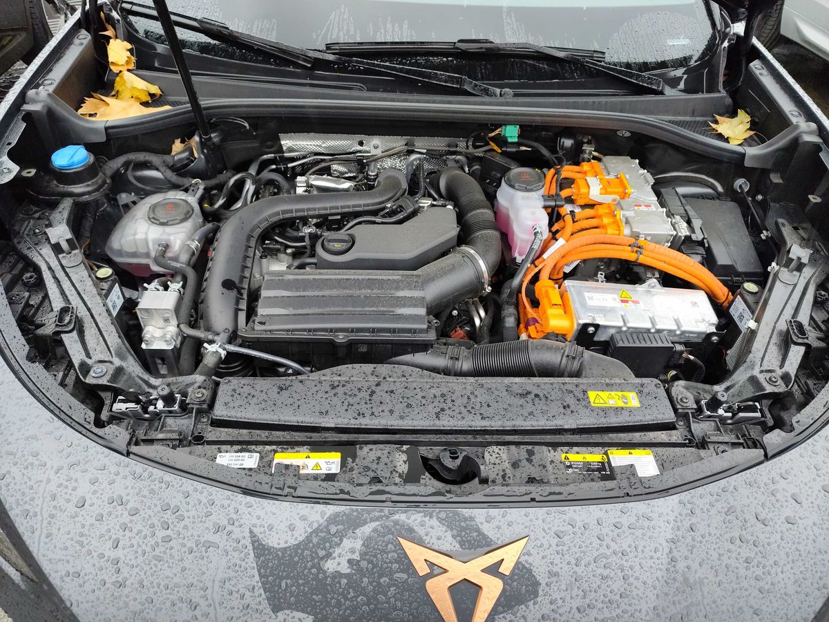 Cupra Terramar 2025 — photo 9