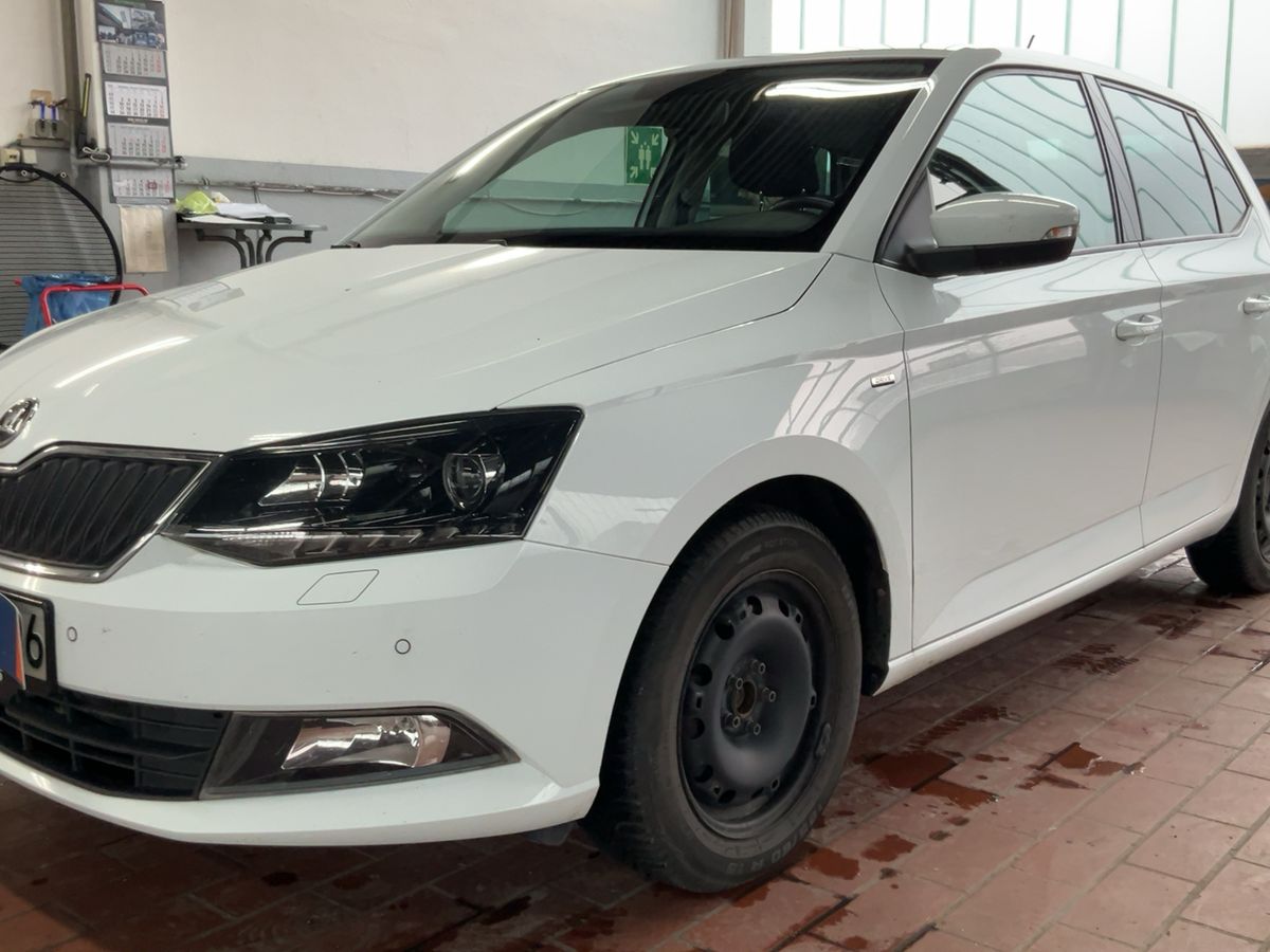 Skoda Fabia d'occasion