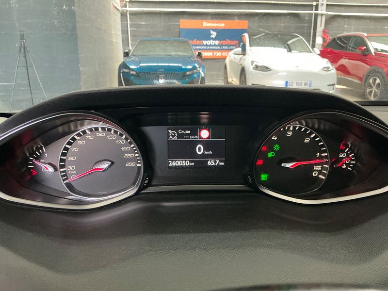 Peugeot 308 1.6 Blue-HDi Active Business — zdjęcie 13
