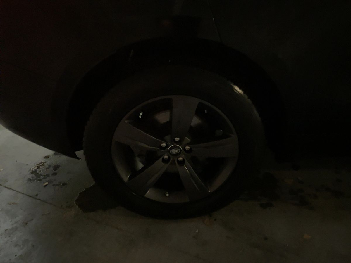 Land Rover 2019 — photo 10