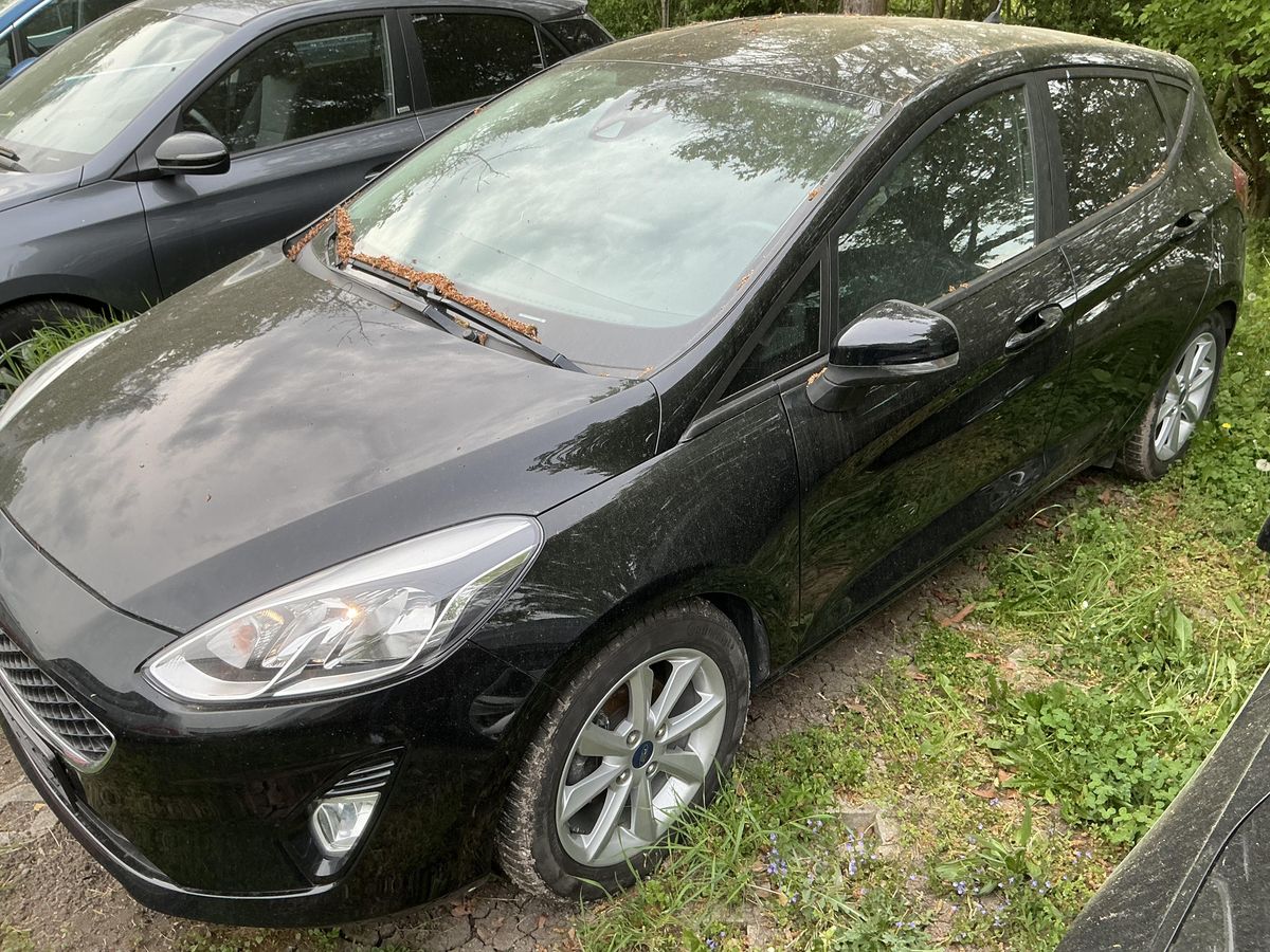 Ford Fiesta d'occasion