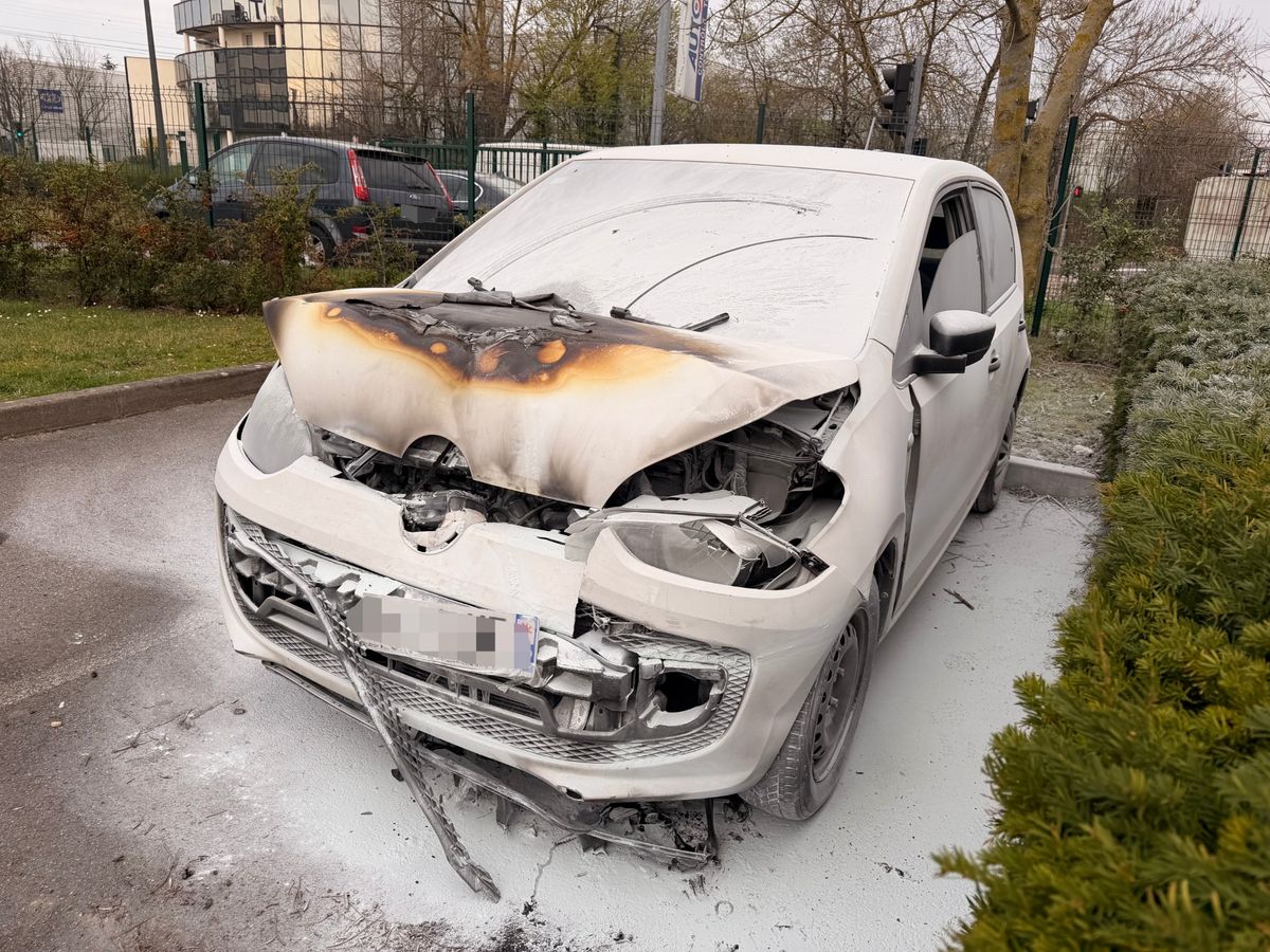 Volkswagen up! d'occasion