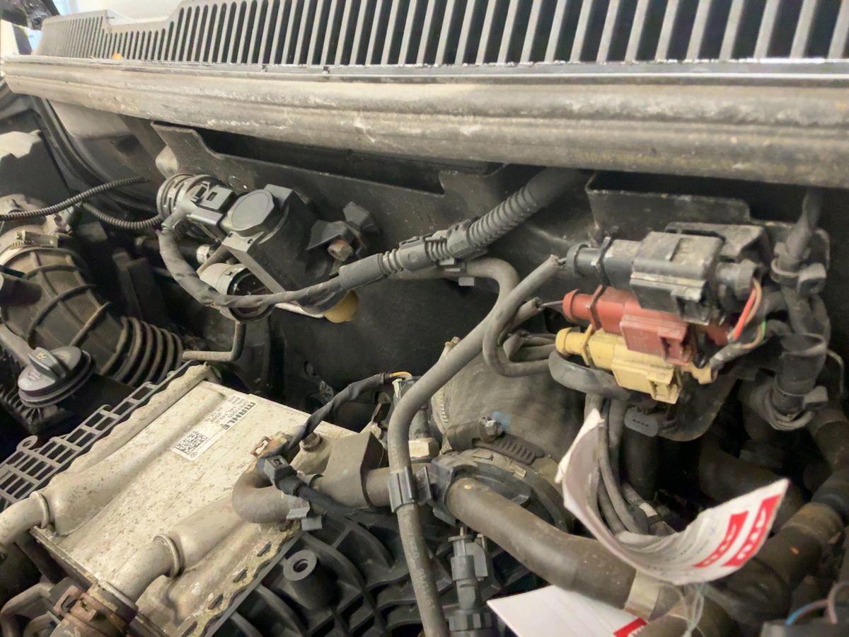 Volkswagen T6 2017 — photo 22