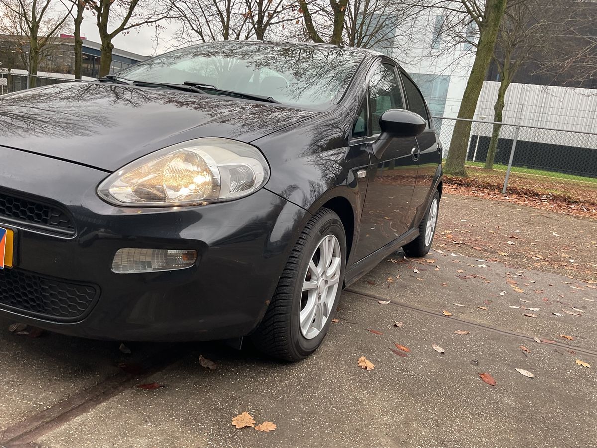 Fiat Punto d'occasion