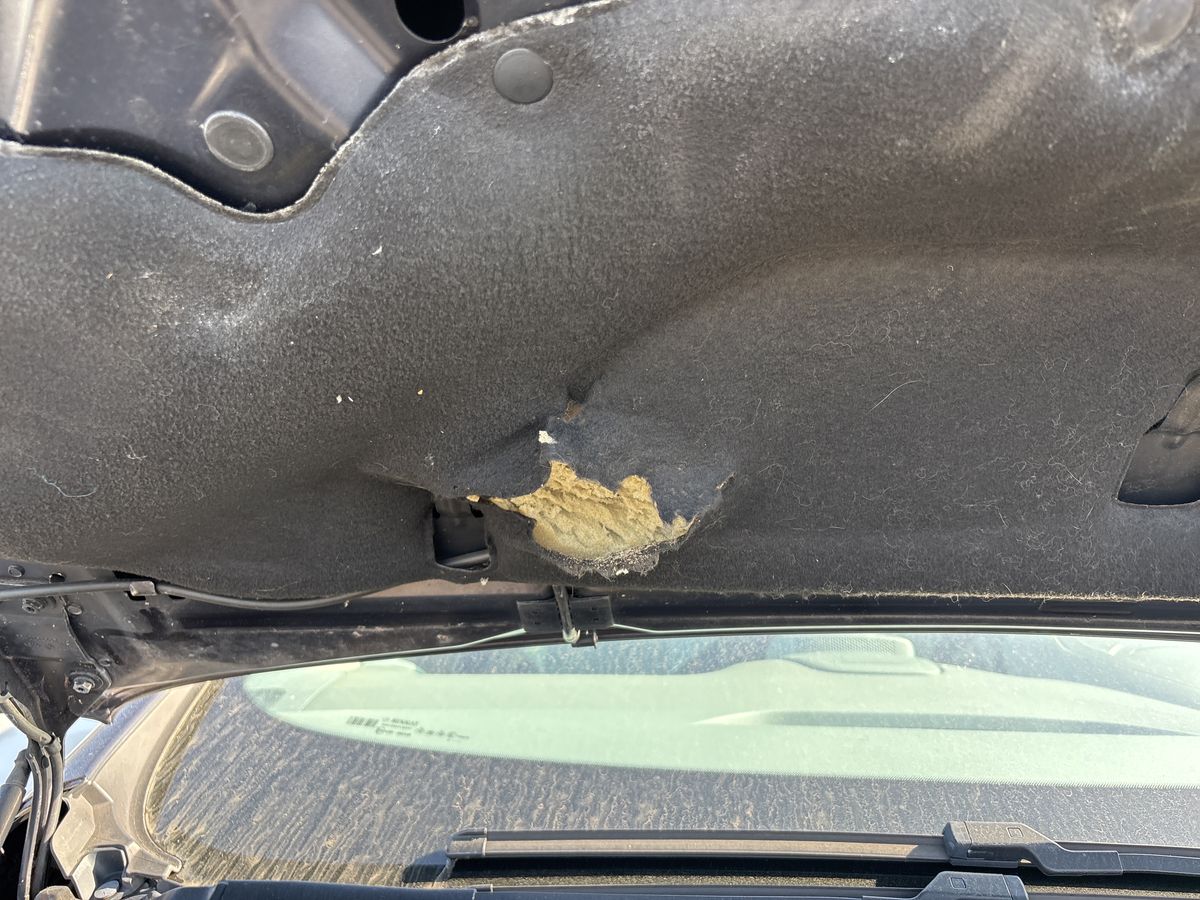 Renault Espace d'occasion