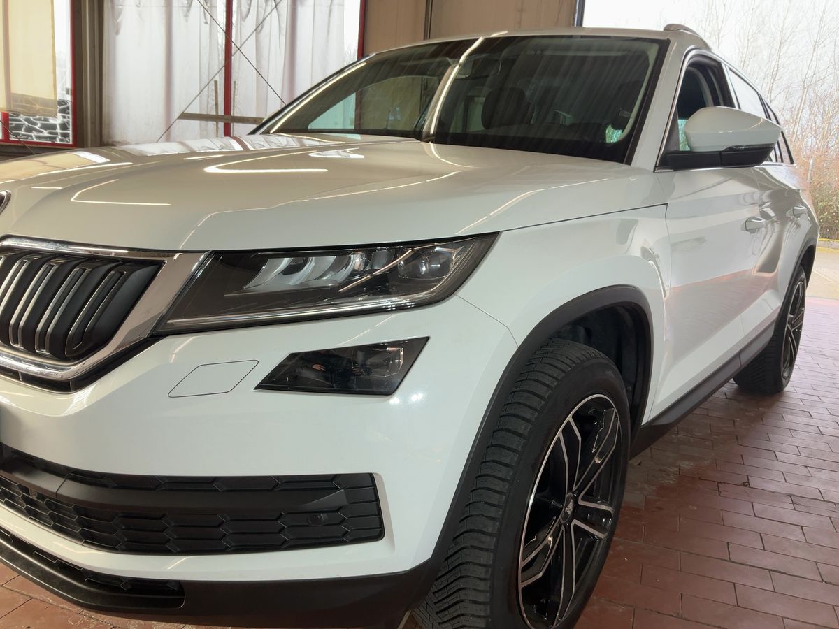 Skoda Kodiaq d'occasion