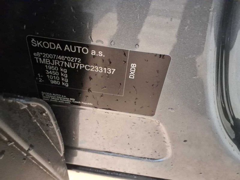 Skoda Karoq d'occasion