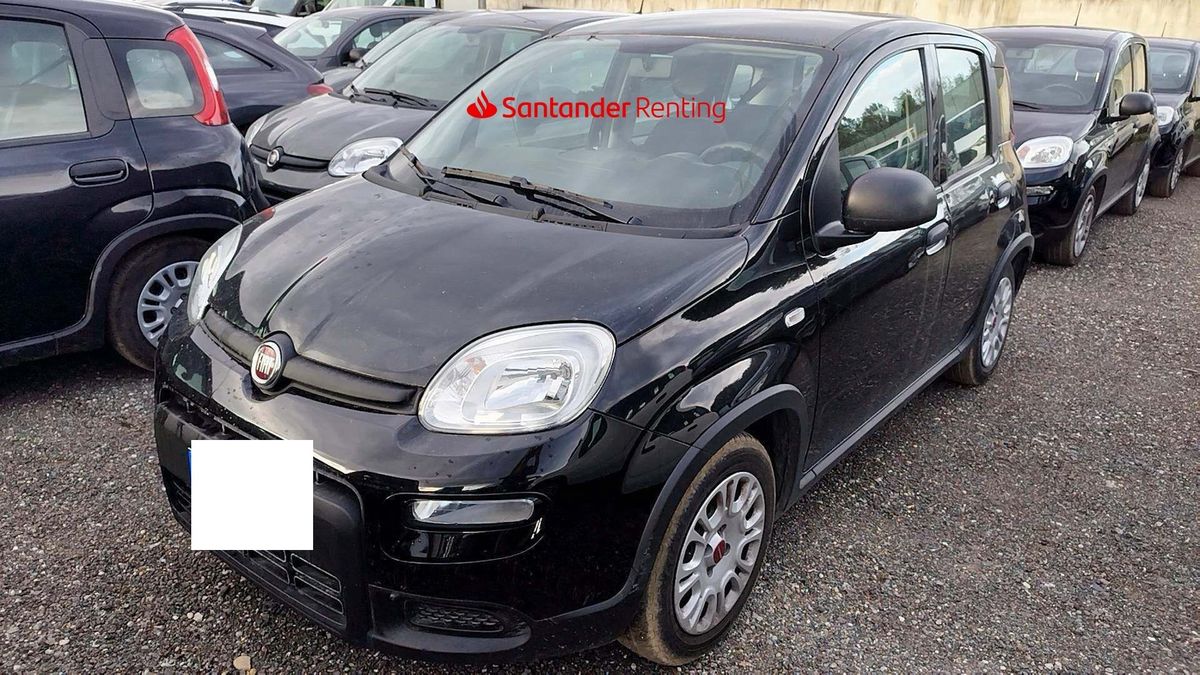 Fiat Panda d'occasion