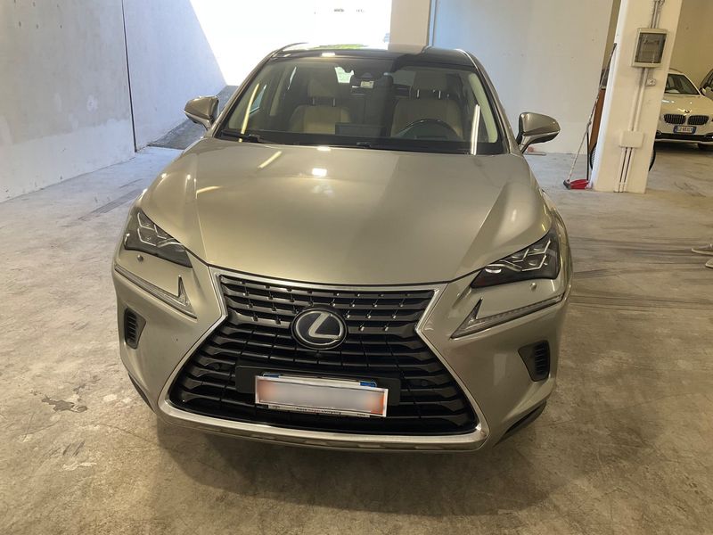 Lexus NX-Serie NX 300h E-Four Luxury Line — zdjęcie 9