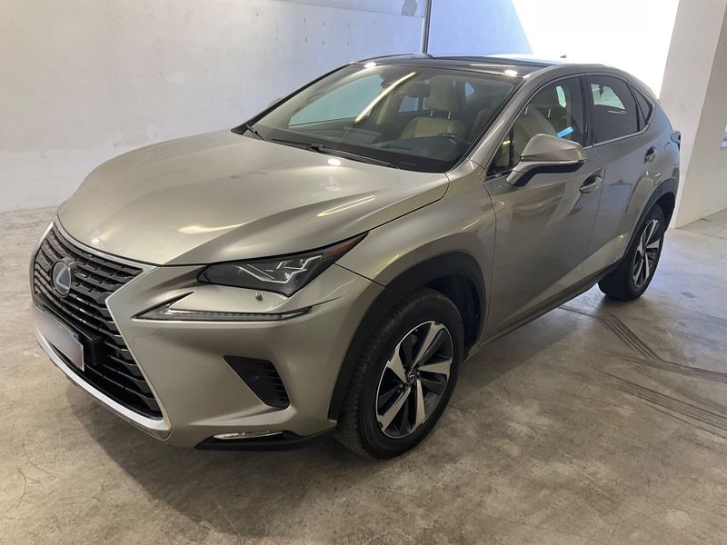 Lexus NX-Serie NX 300h E-Four Luxury Line