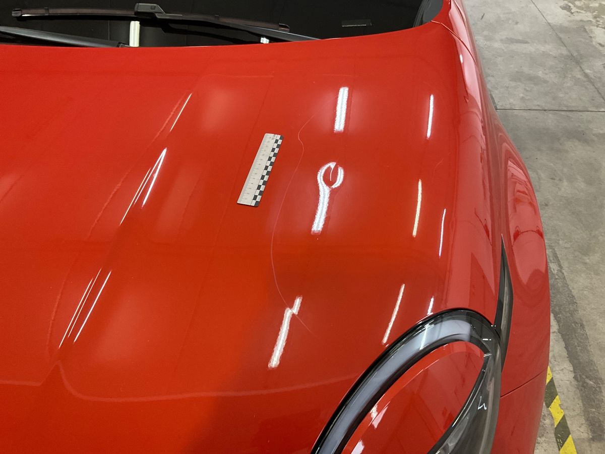 Fiat 600 2024 — photo 24