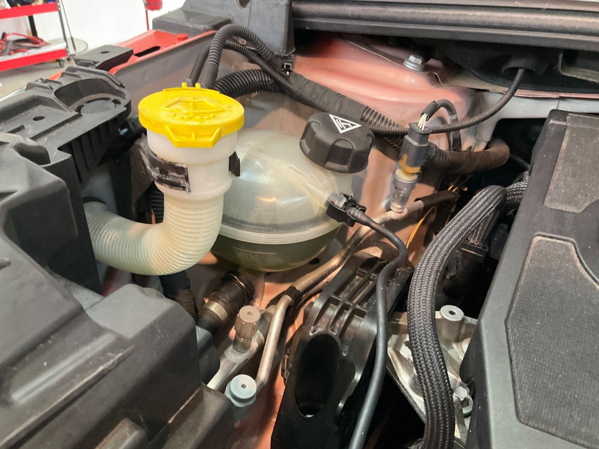 Fiat 600 2024 — photo 25