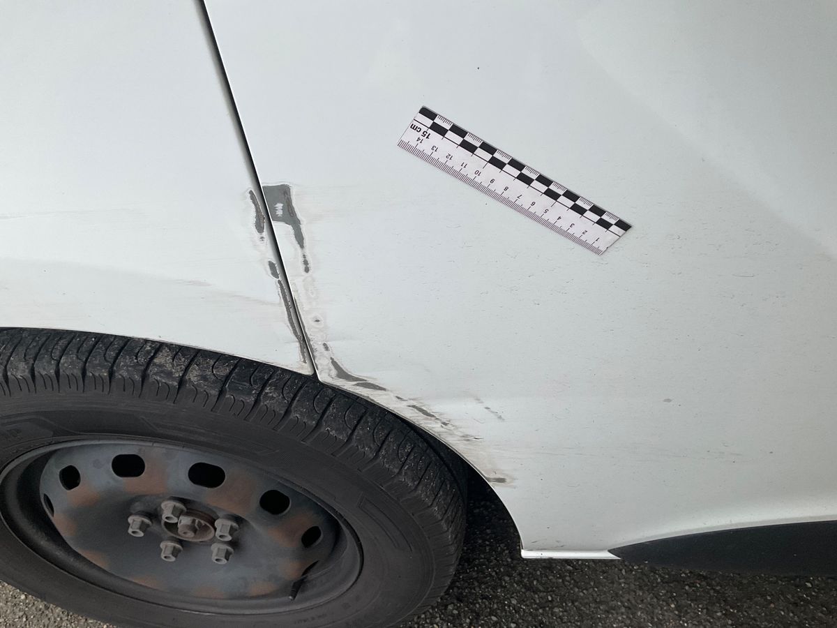 Renault Trafic 2020 — photo 44