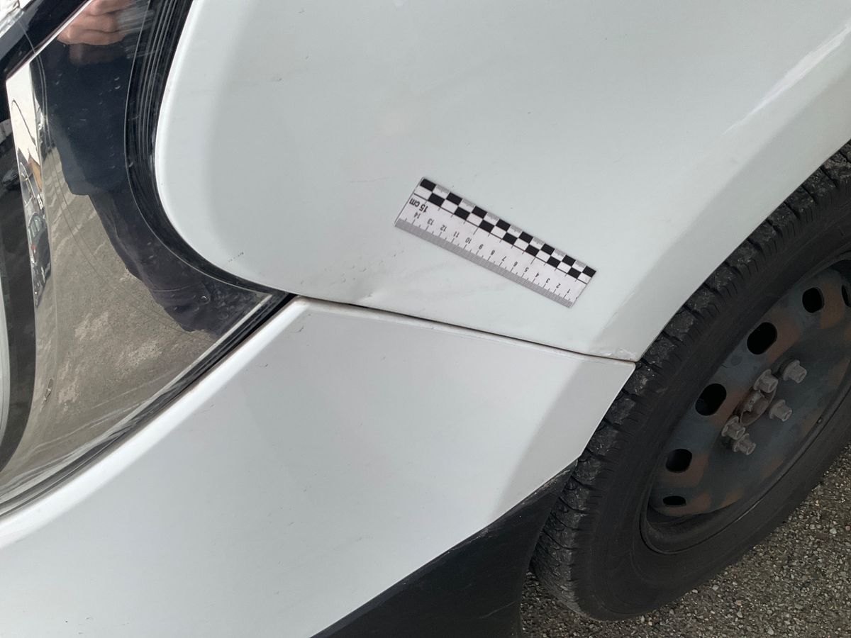Renault Trafic 2020 — photo 3