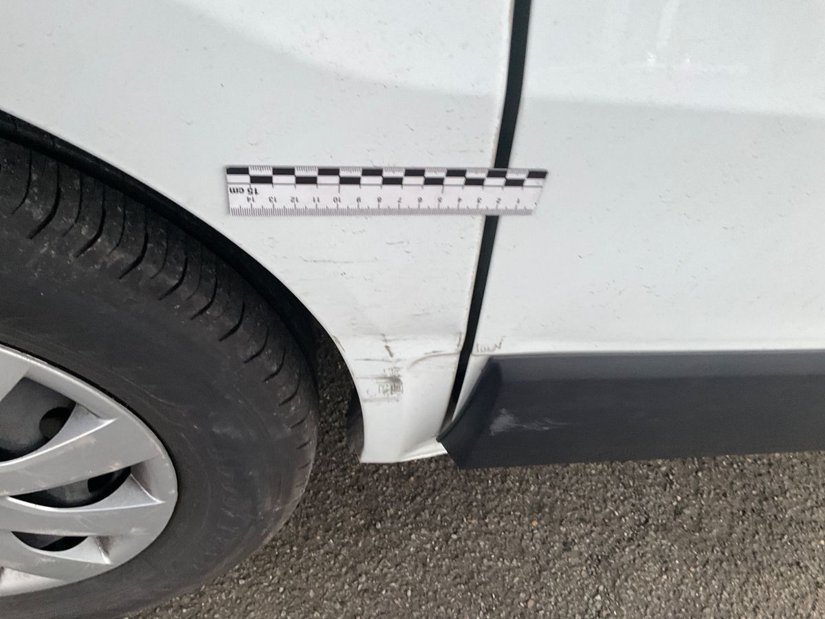 Renault Trafic 2020 — photo 36