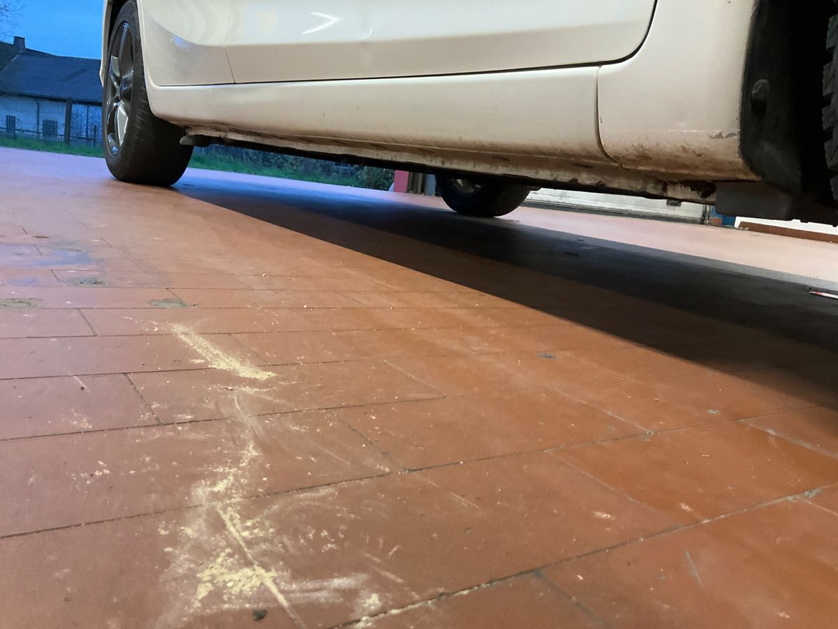 Nissan Pulsar 2018 — photo 61
