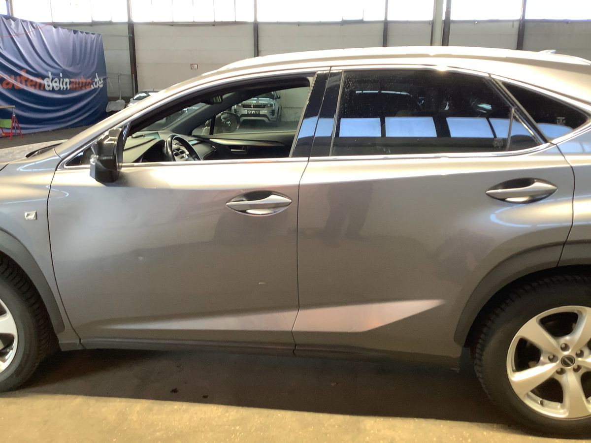 Lexus NX-Serie 2016 — photo 5