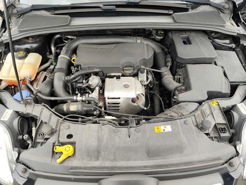 Ford Focus 1.0 EcoBoost Trend — zdjęcie 8