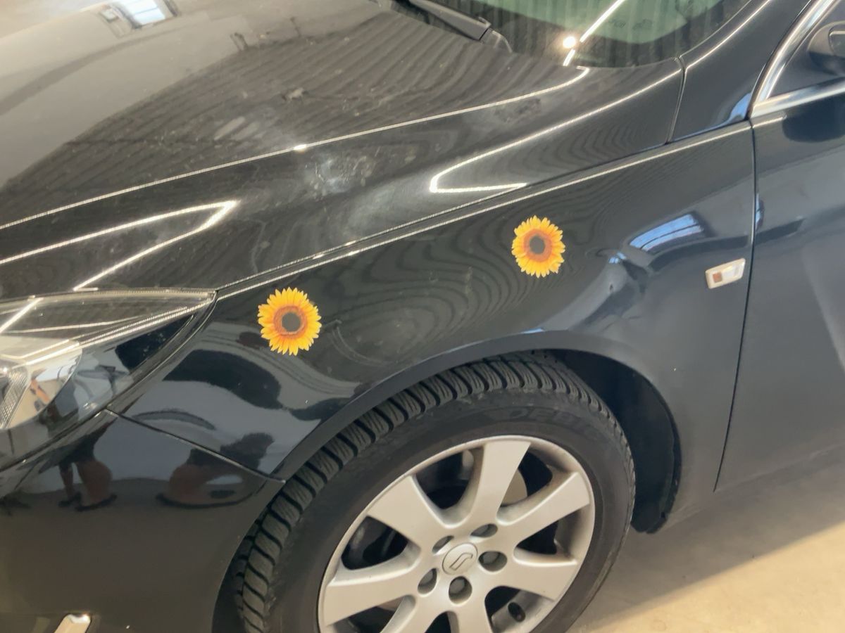 Opel Insignia d'occasion